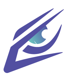 Optimum Vision Group LLC